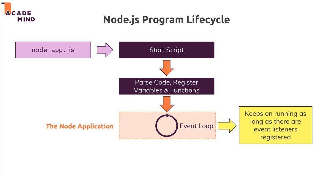 lifecycle